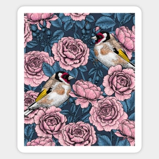 Pink Rose flowers and goldfinch birds Sticker